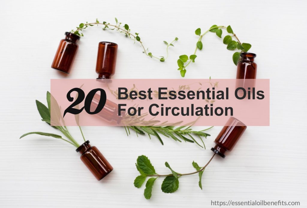 How To Use Essentials Oils To Improve Circulation & Blood Flow! Essential Oil Benefits