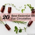 essential oils for circulation