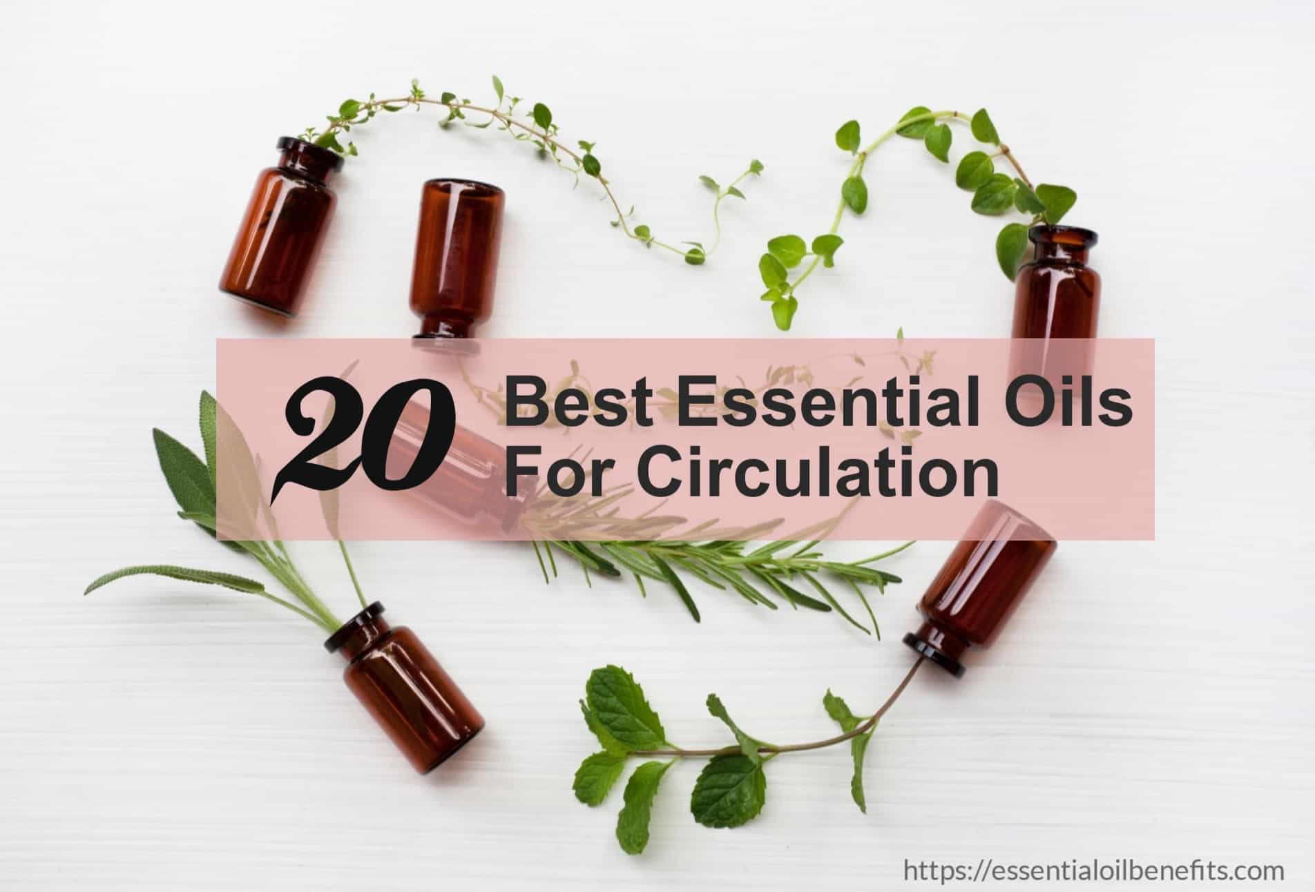 essential oils for circulation