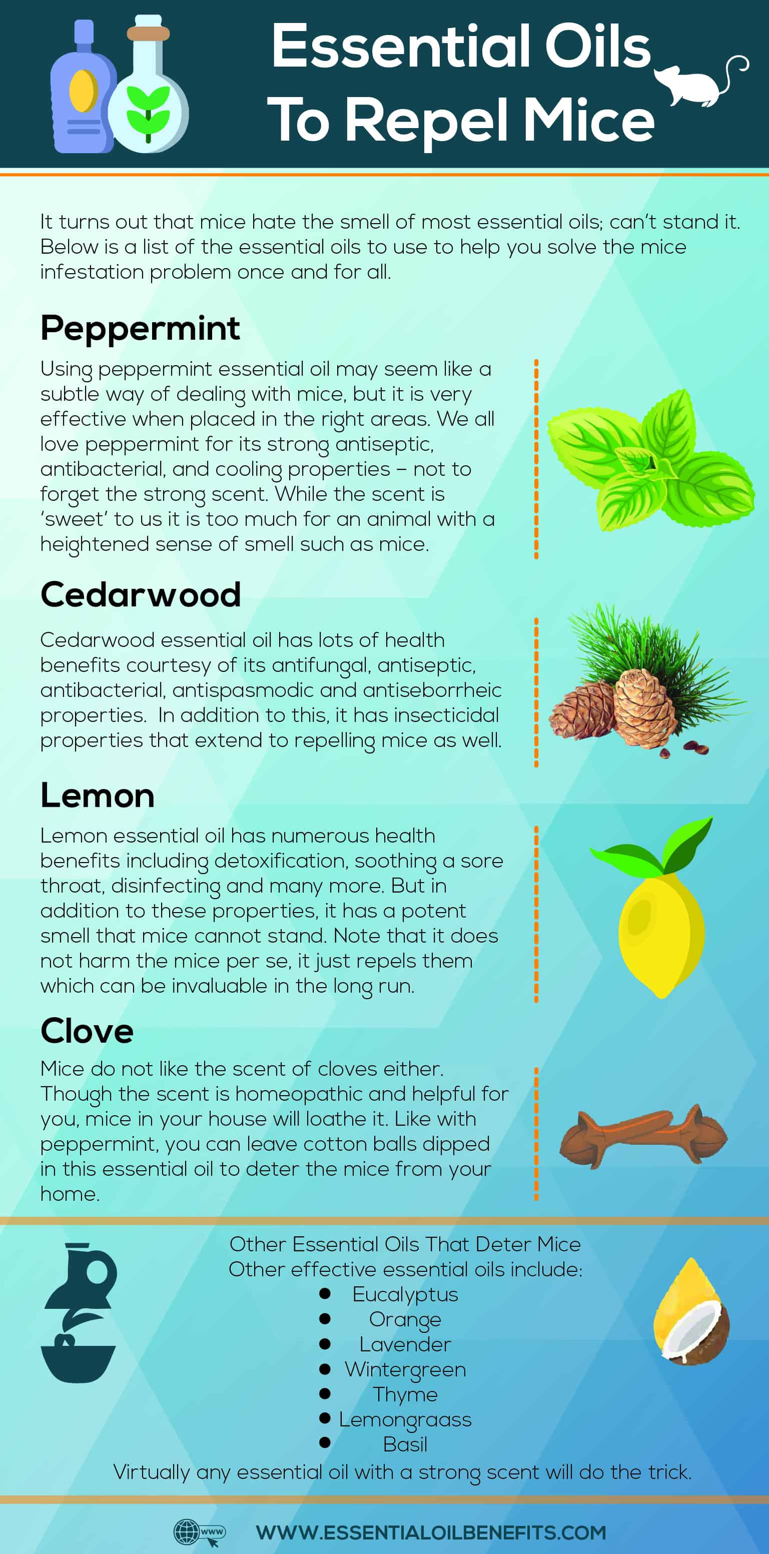 Best Ways To Get Rid Of Mice Naturally Using Essential Oils Essential Oil Benefits