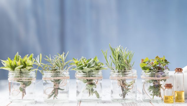 essential oils for quitting smoke