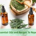 essential oils for mice