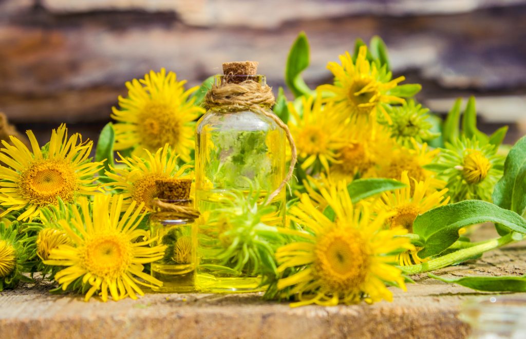 What Are The Most Expensive Essential Oils Essential Oil Benefits