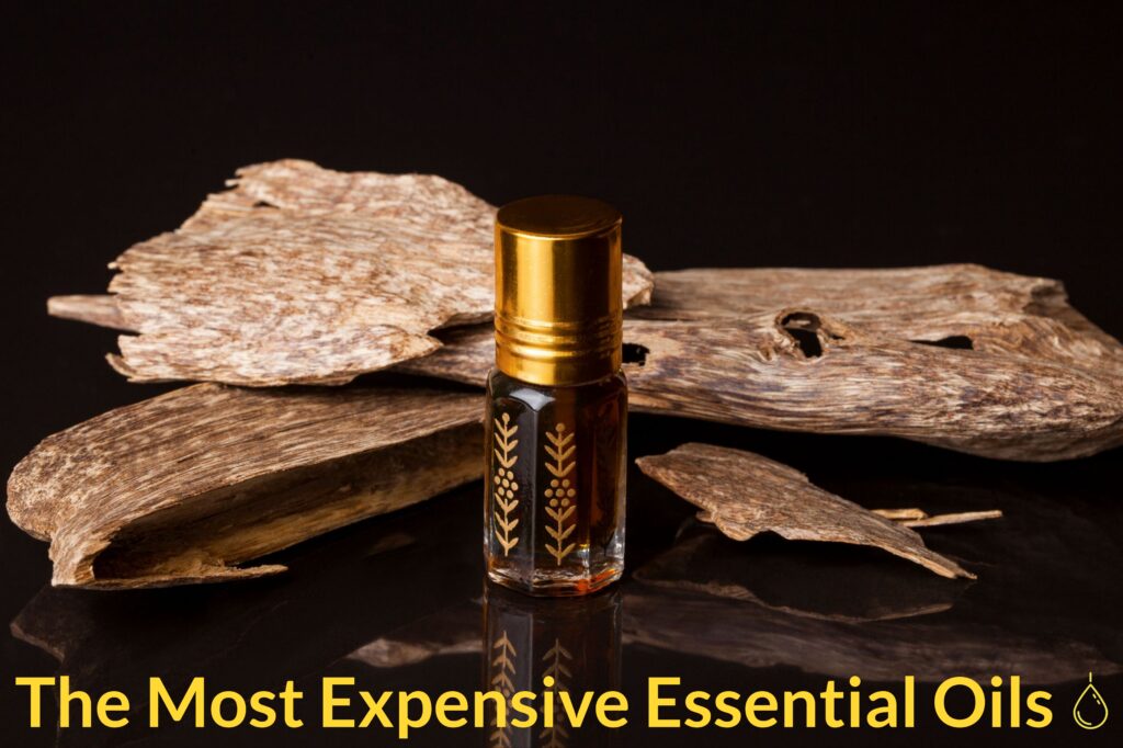 What Are The Most Expensive Essential Oils Essential Oil Benefits