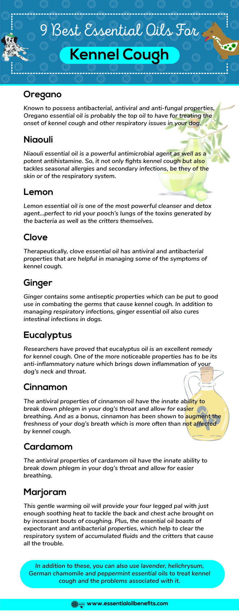 Essential Oils For Kennel Cough Man’s Best Friend’s Worst Nightmare