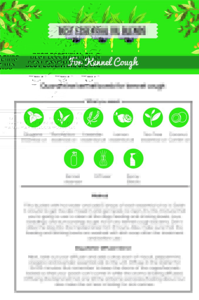 Essential Oils For Kennel Cough Man’s Best Friend’s Worst Nightmare? Essential Oil Benefits