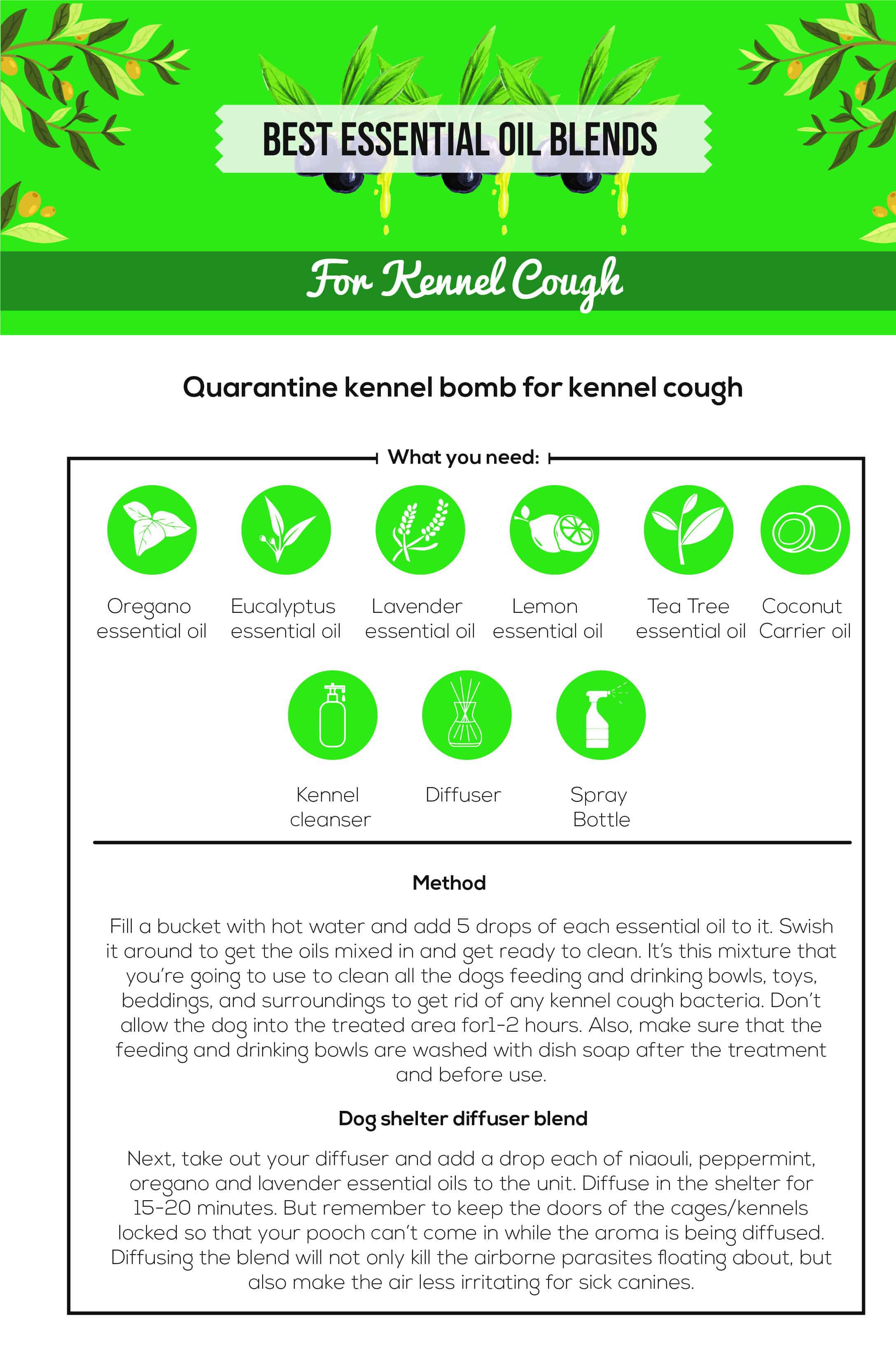 Essential Oils For Kennel Cough Man’s Best Friend’s Worst Nightmare