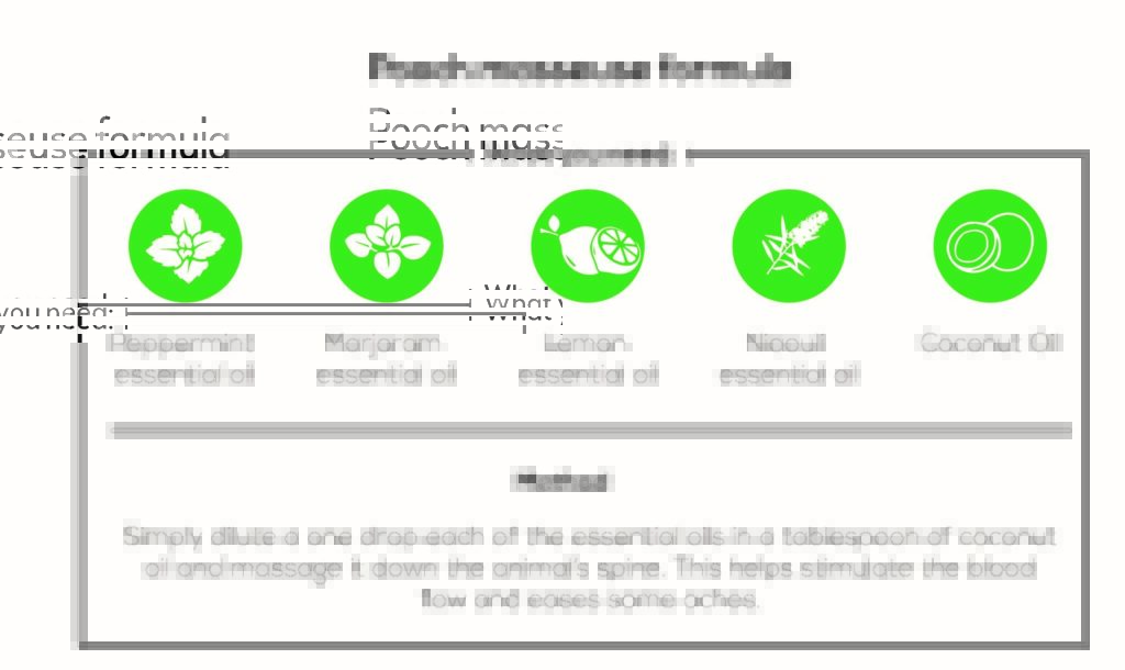 Essential Oils For Kennel Cough Man’s Best Friend’s Worst Nightmare