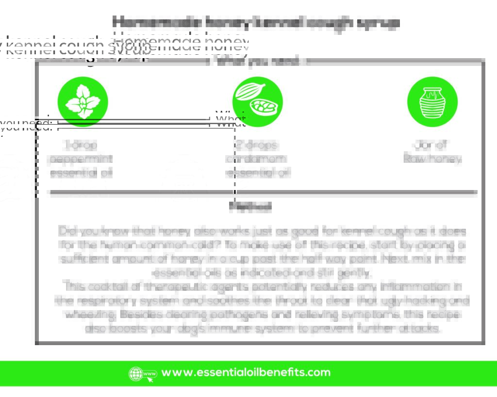 Essential Oils For Kennel Cough Man’s Best Friend’s Worst Nightmare