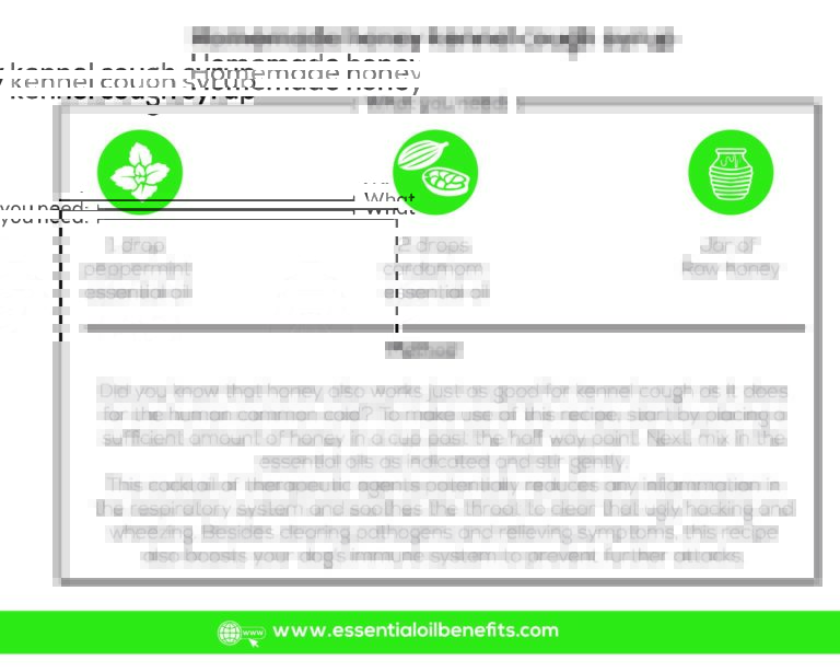 Essential Oils For Kennel Cough Man’s Best Friend’s Worst Nightmare