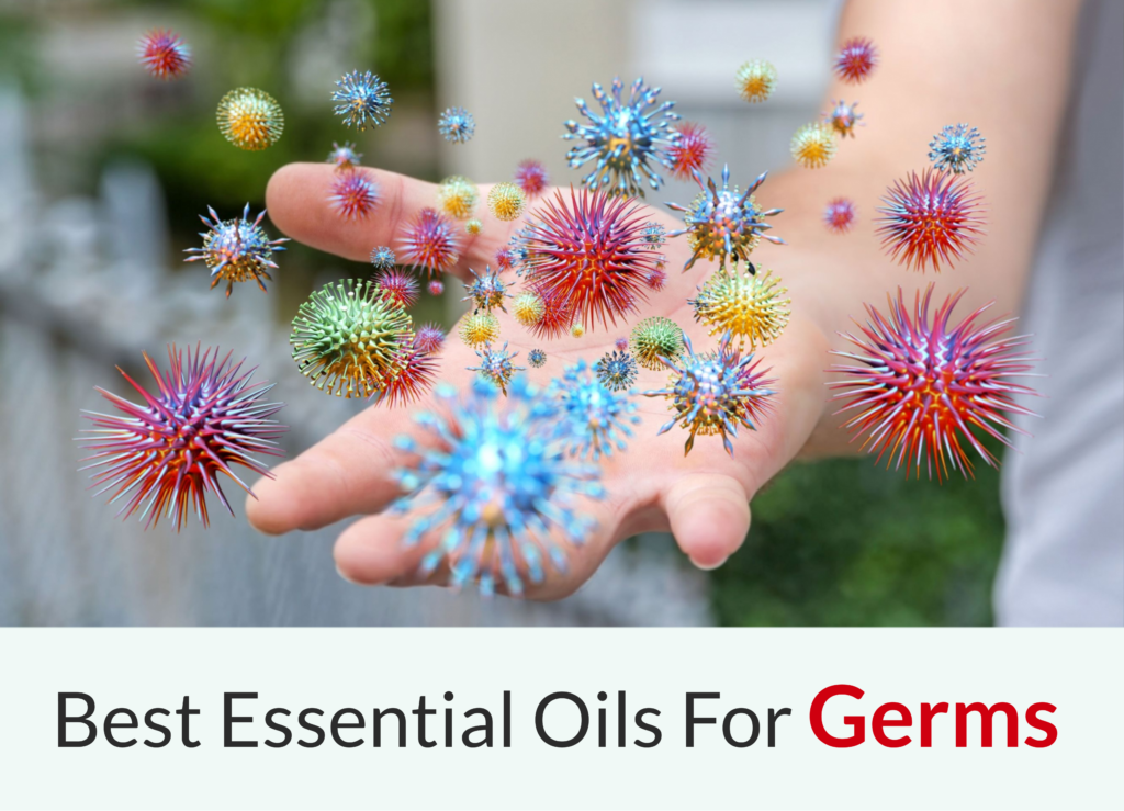 5 Best Essential Oils For Killing Germs LaptrinhX / News