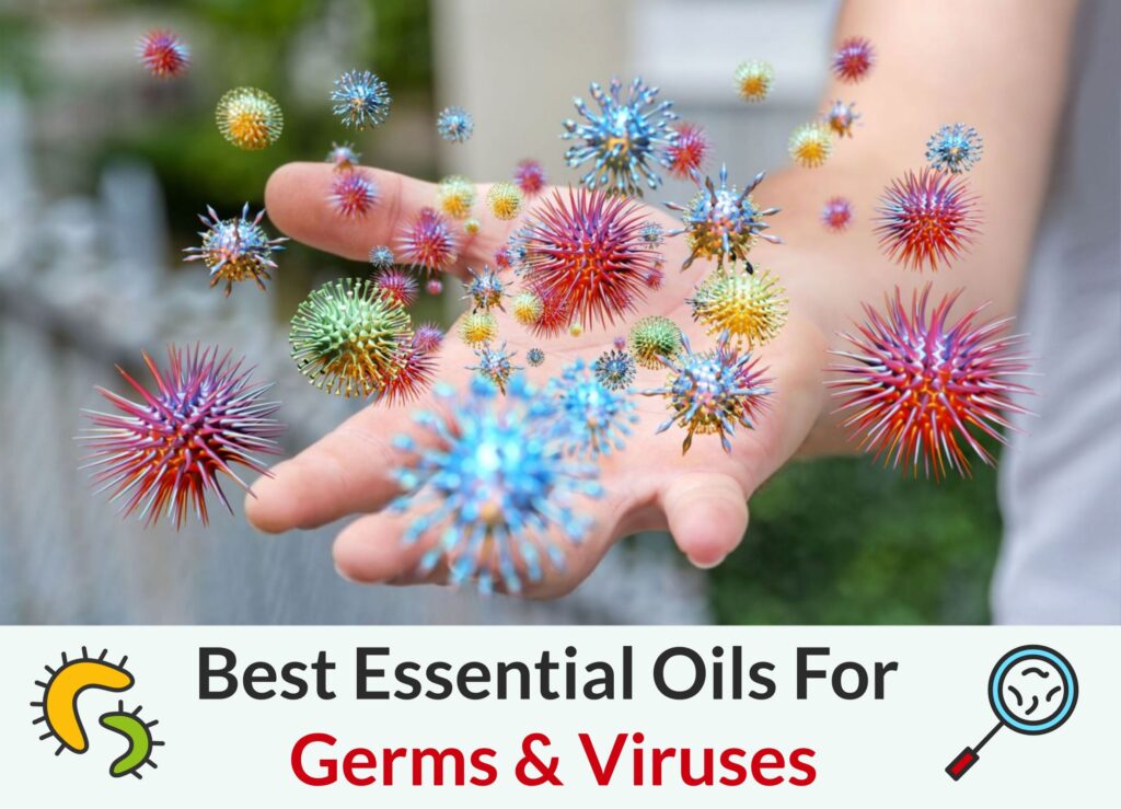 Best Essential Oils To Prevent The Spread Of Germs & Viruses Essential Oil Benefits