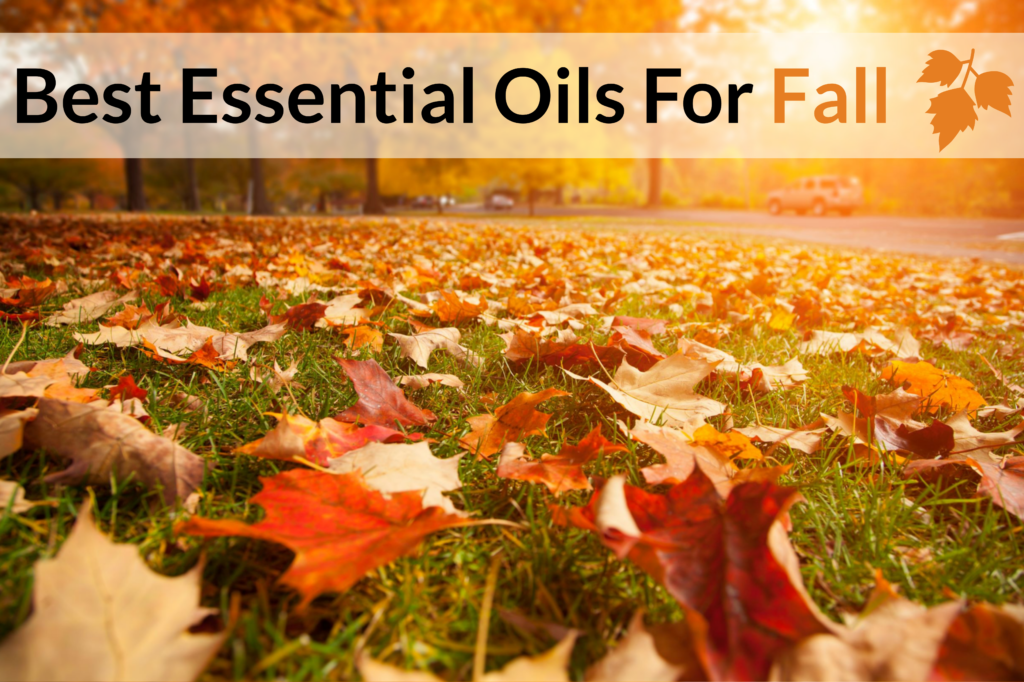 Best Essential Oils For Fall And 30 Tried And Tested Autumn-Special Recipes! Essential Oil Benefits